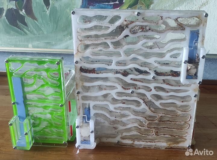 Муравьиная ферма бу