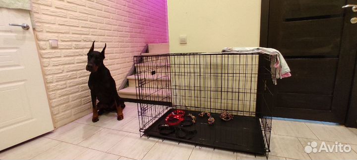 Клетка для собак 5 размер