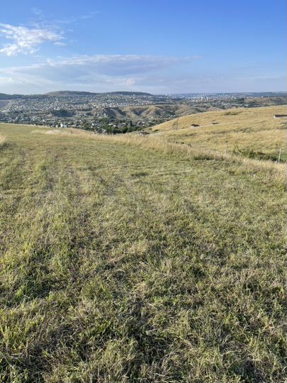 Участок 8 сот. (ИЖС)