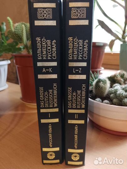 Большой немецко-русский словарь в 2 томах