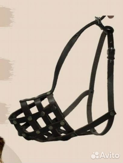 Одежда для средних собак