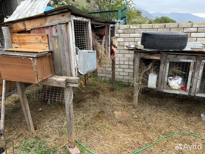 Клетки для кроликов