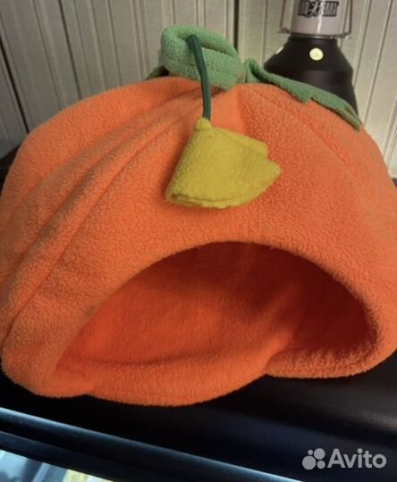 Набор для агамы