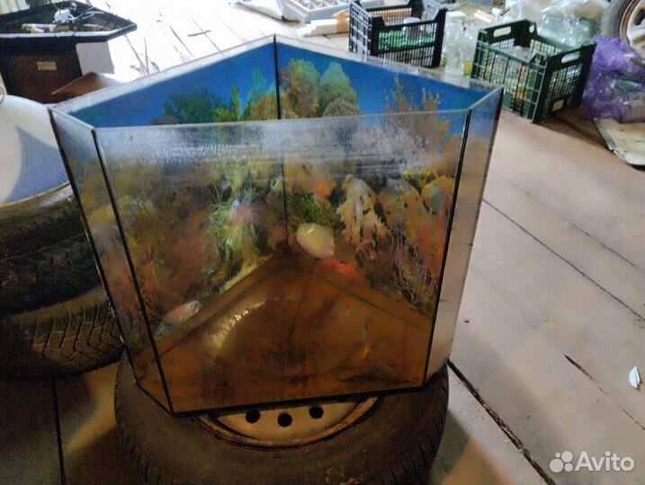 Аквариум для рыбок бу