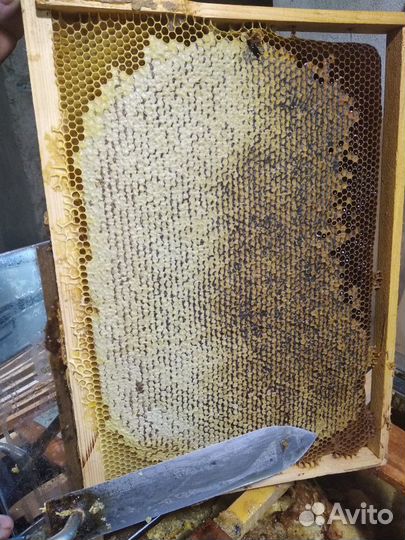 Мёд липовый,майский,разнотравье,подсолнечн