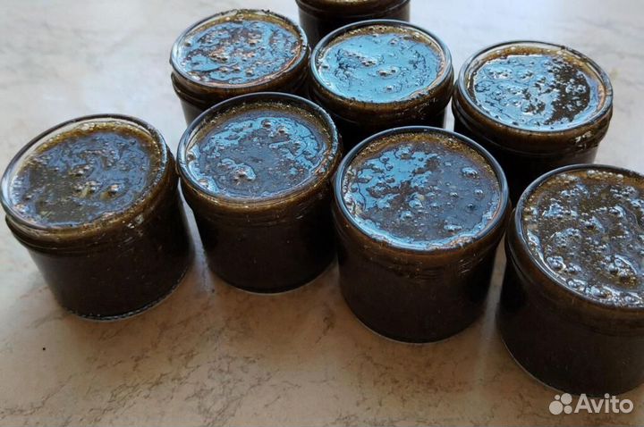 Глистогон медовый