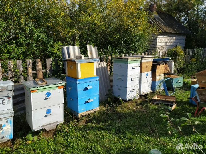 Ульи с рамками