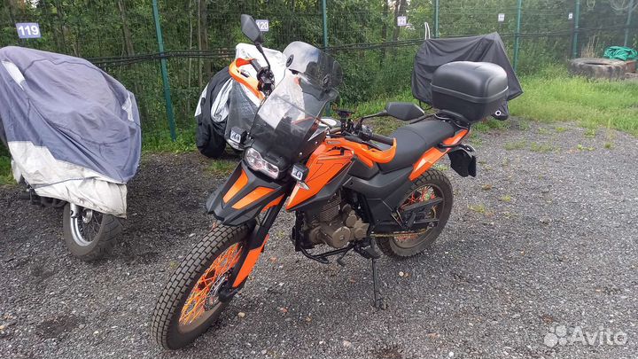 Shineray fireguard trail 250