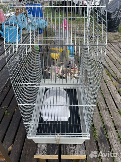 Клетка для попугая