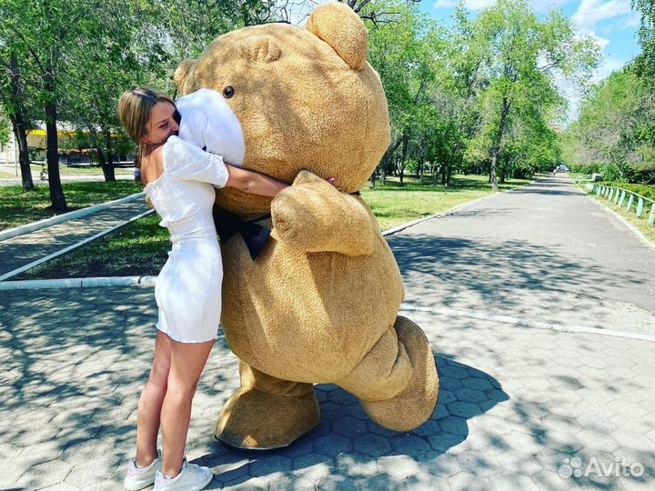 Анимация мишки. Аниматор белый медведь