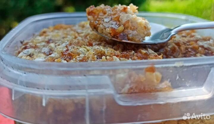 Забрус пчелиный