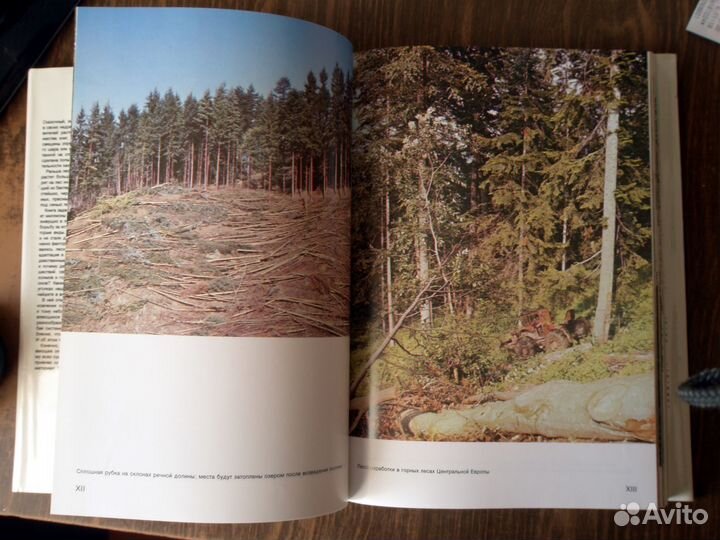 Иллюстрированная энциклопедия лесов