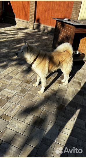 Тротуарная плитка ГОСТ минимальный заказ 120 м2