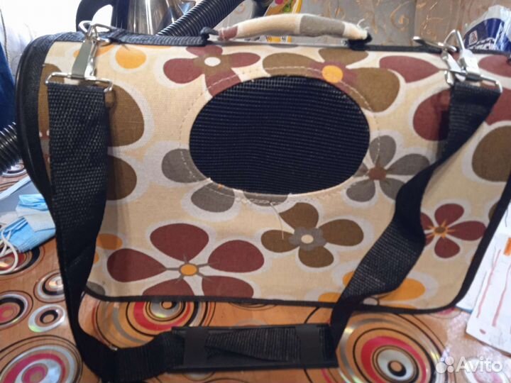 Домашние животные собаки