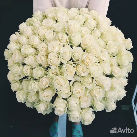 101 роза белые красные розы Эквадор цветы доставка