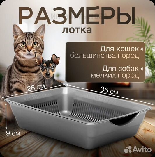 Лоток для кошек