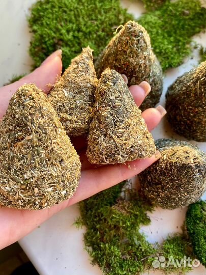 Ведьмина свеча