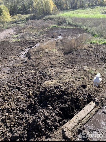 Отдам Навоз крс бесплатно