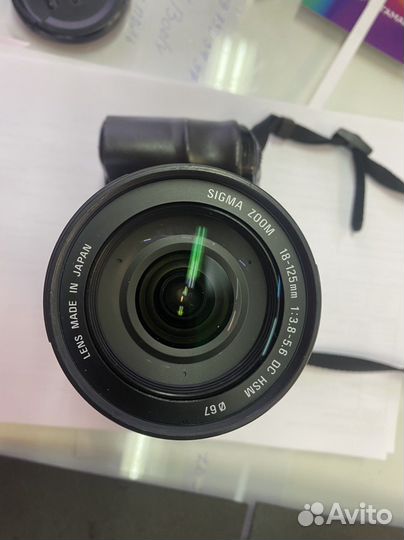 Sony A100 Kit Sigma 18-125