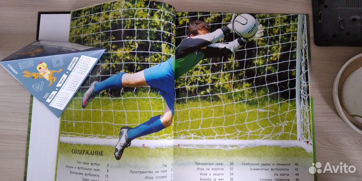 Моя первая книга про футбол