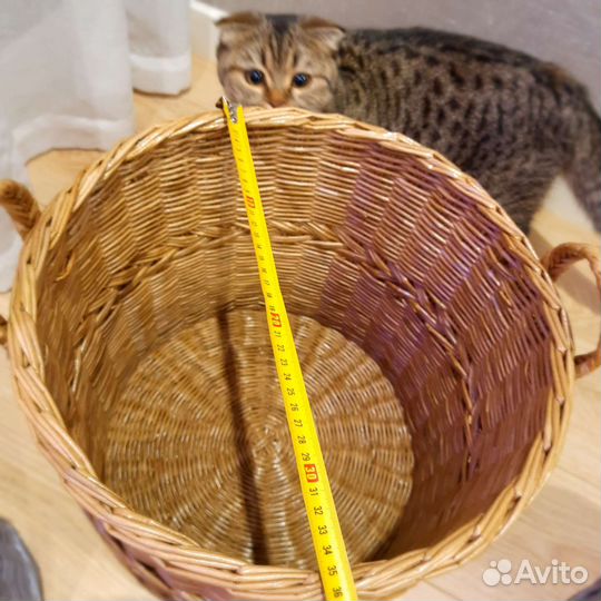 Корзина, кашпо плетеная большая