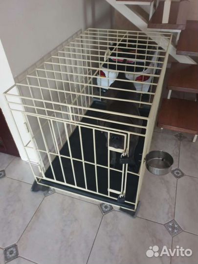 Клетки и вольер для собак