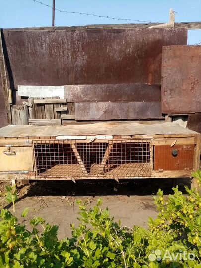 Клетки для кроликов