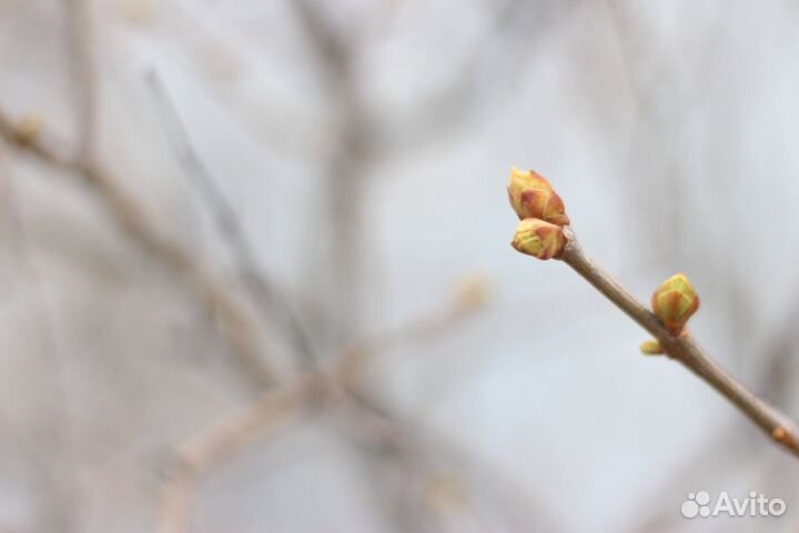 Фотосъемка, фотограф, фотосессии