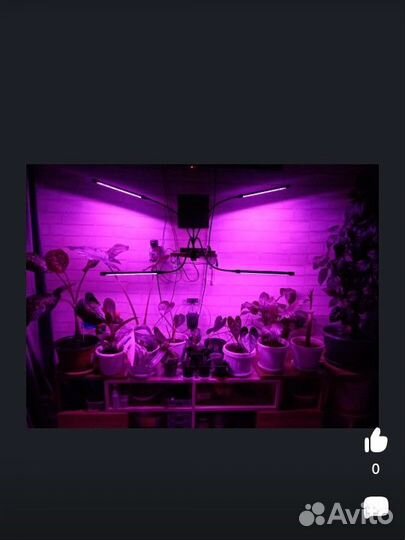 Фитолампа для растений полный спектр