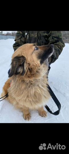 Маленькая Мишель