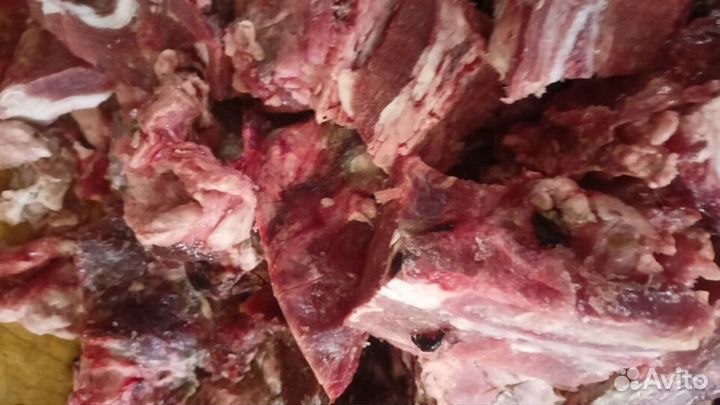 Натуральный корм для собак