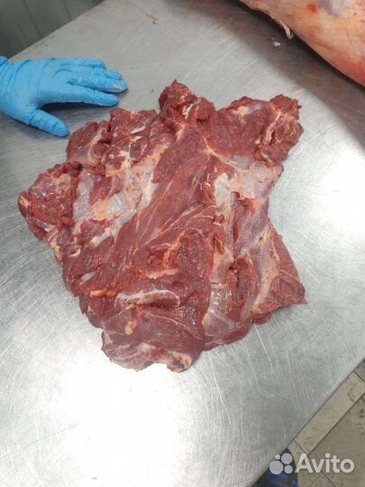 Мясо для кошек и собак