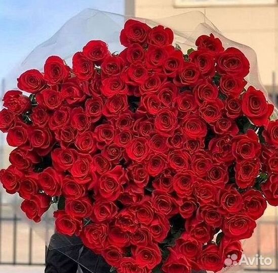 Букет роз 101 роза 51 роза