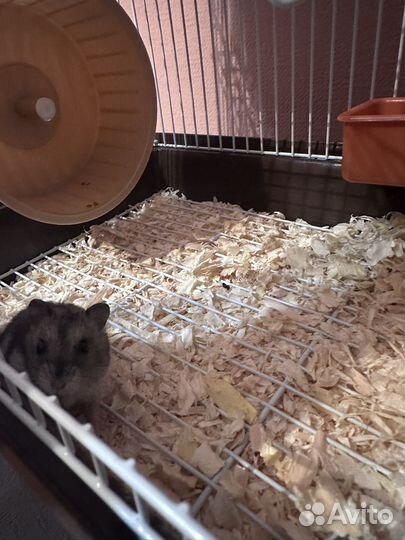 Клетка для грызунов