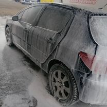 Peugeot 307 1.6 AT, 2001, 266 000 км, с пробегом, цена 230 000 руб.