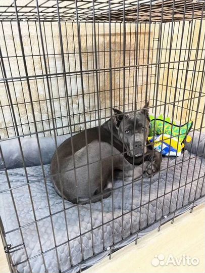 Клетка для собак
