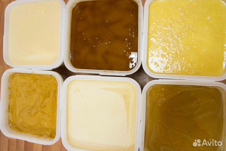 Мед натуральный с Алтая оптом