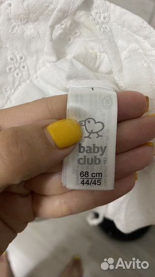 Панама 6 мес