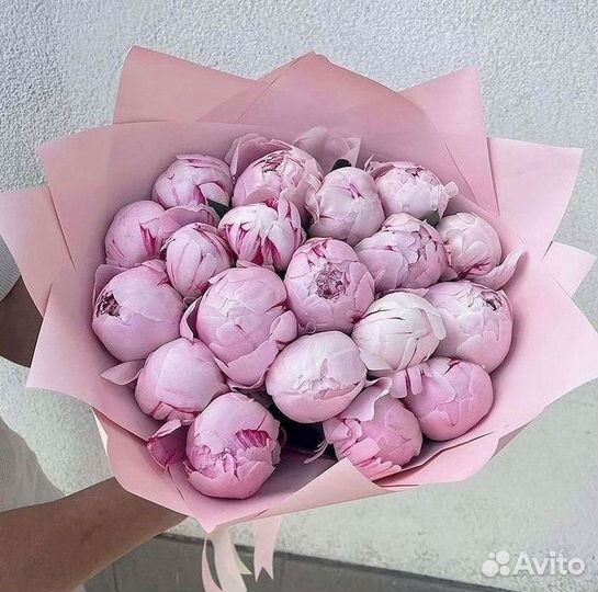 Пионы Букет