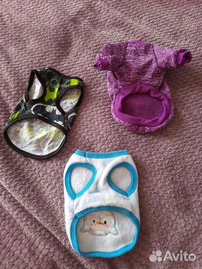 Одежда для кошек и собак