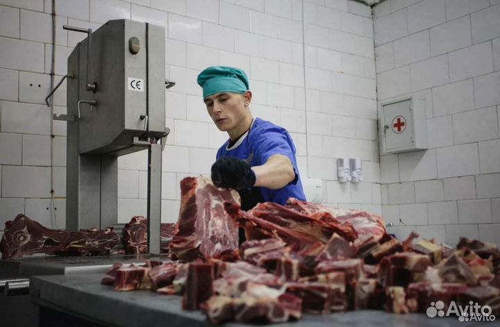 Займ в мясокомбинат, прибыль 18979 в месяц