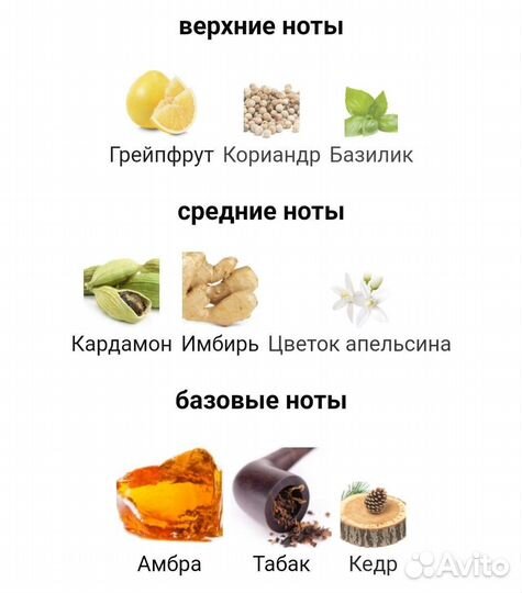 Dolce&Gabbana The One for Men Eau de Parfum