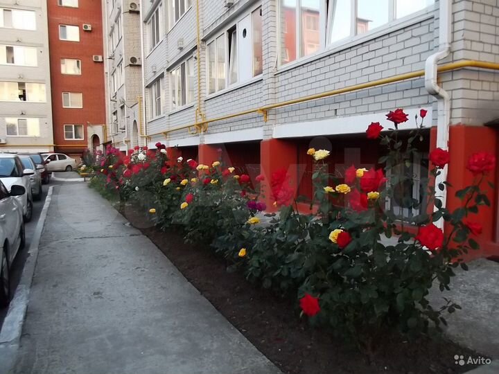 1-к. квартира, 37,2 м², 4/5 эт.