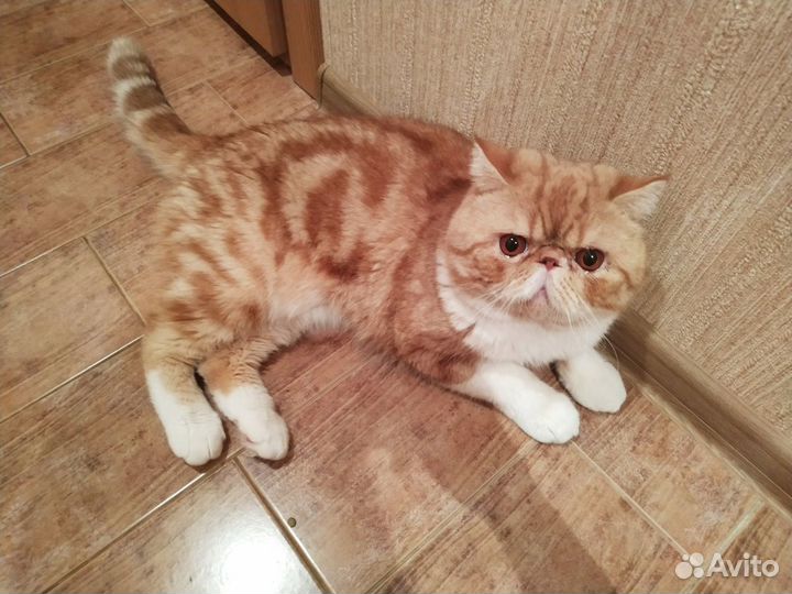 Очаровательный мальчик