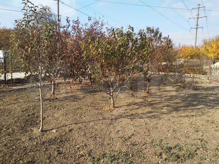 Участок 9,5 сот. (СНТ, ДНП)