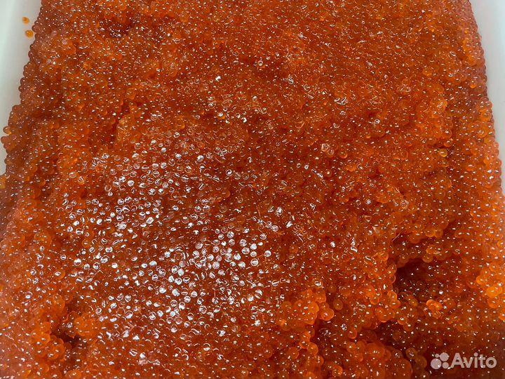 Красная икра оптом