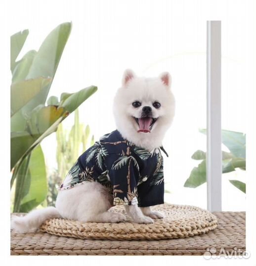 Одежда для собак или кошек (новая)