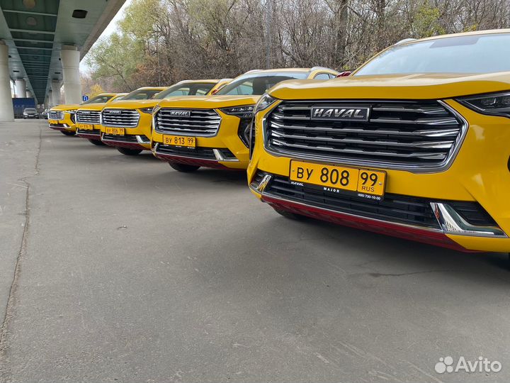Водитель такси Haval 2022