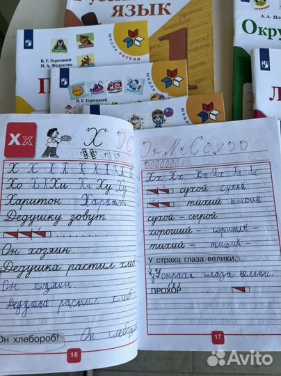 Рабочие тетради Б/У 1 класс Канакина Волкова