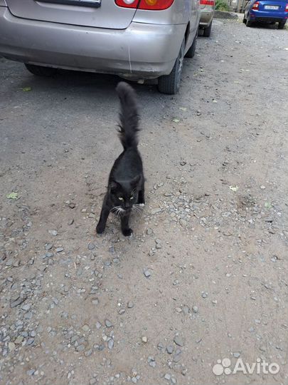 Пустите счастье в дом